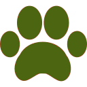 A green paw print with orange trim on black background.