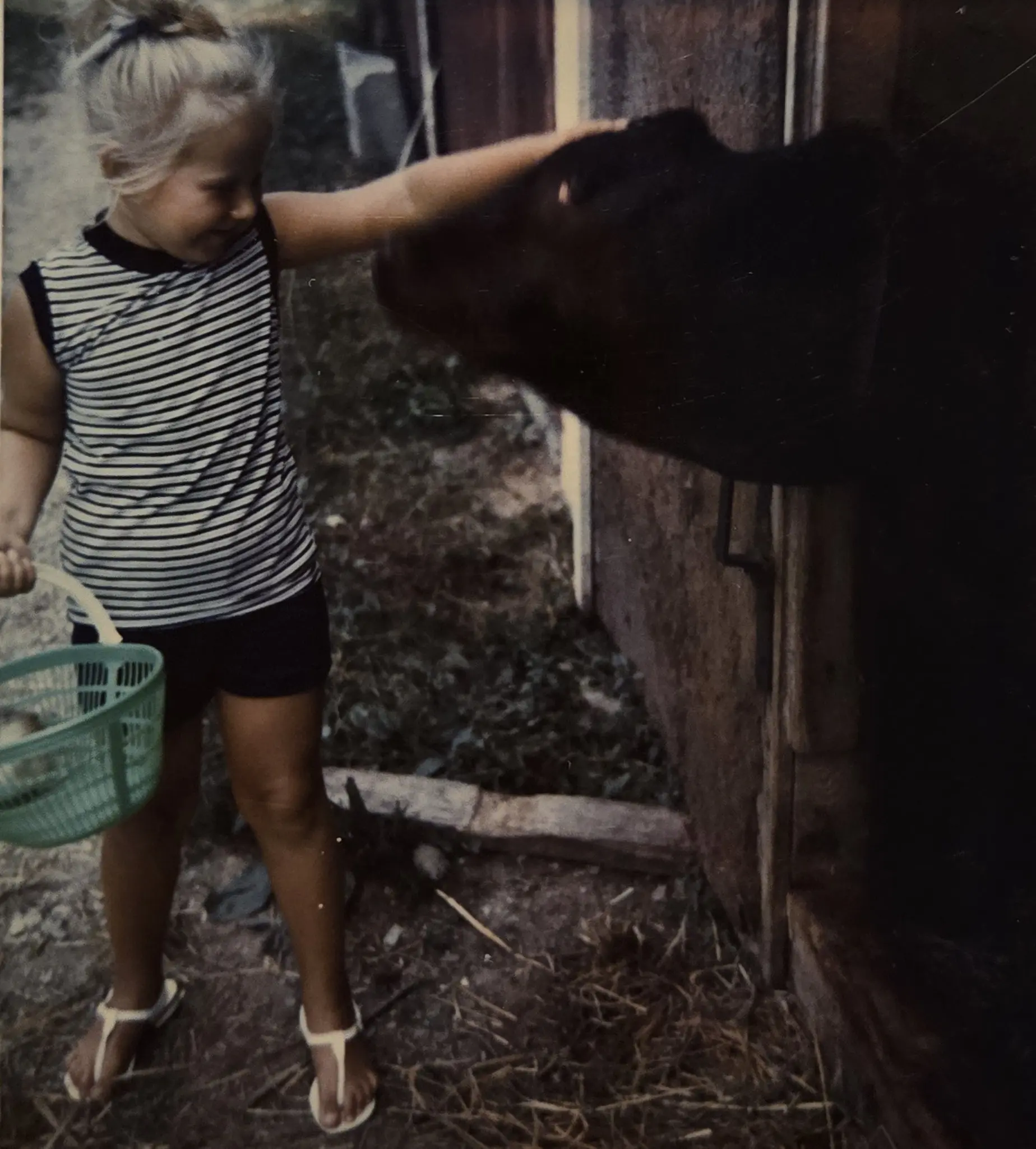 A child petting a large dark animal near a wooden structure at night.