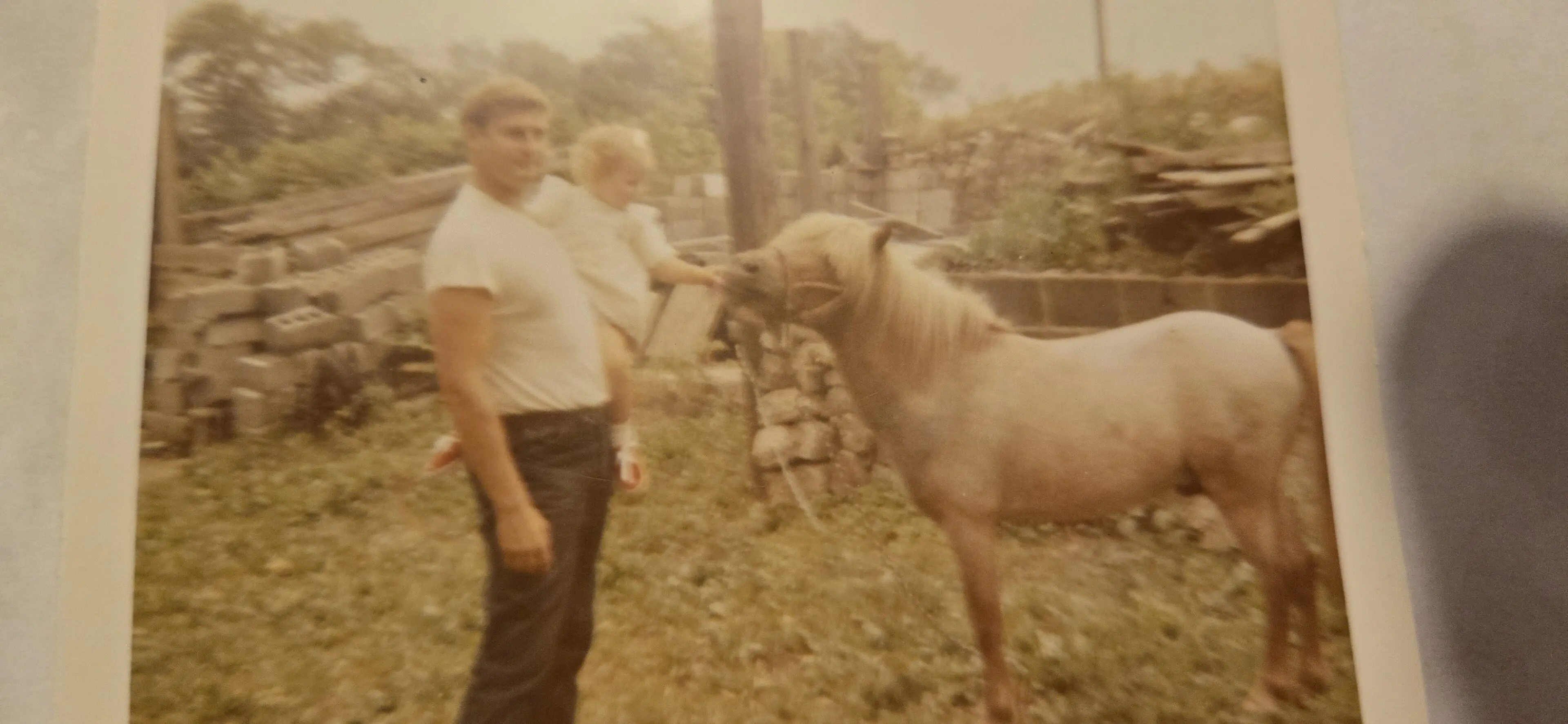 A man and a child standing next to a horse outdoors.