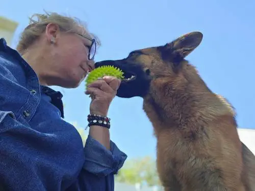 A woman and a dog touching noses outdoors.
